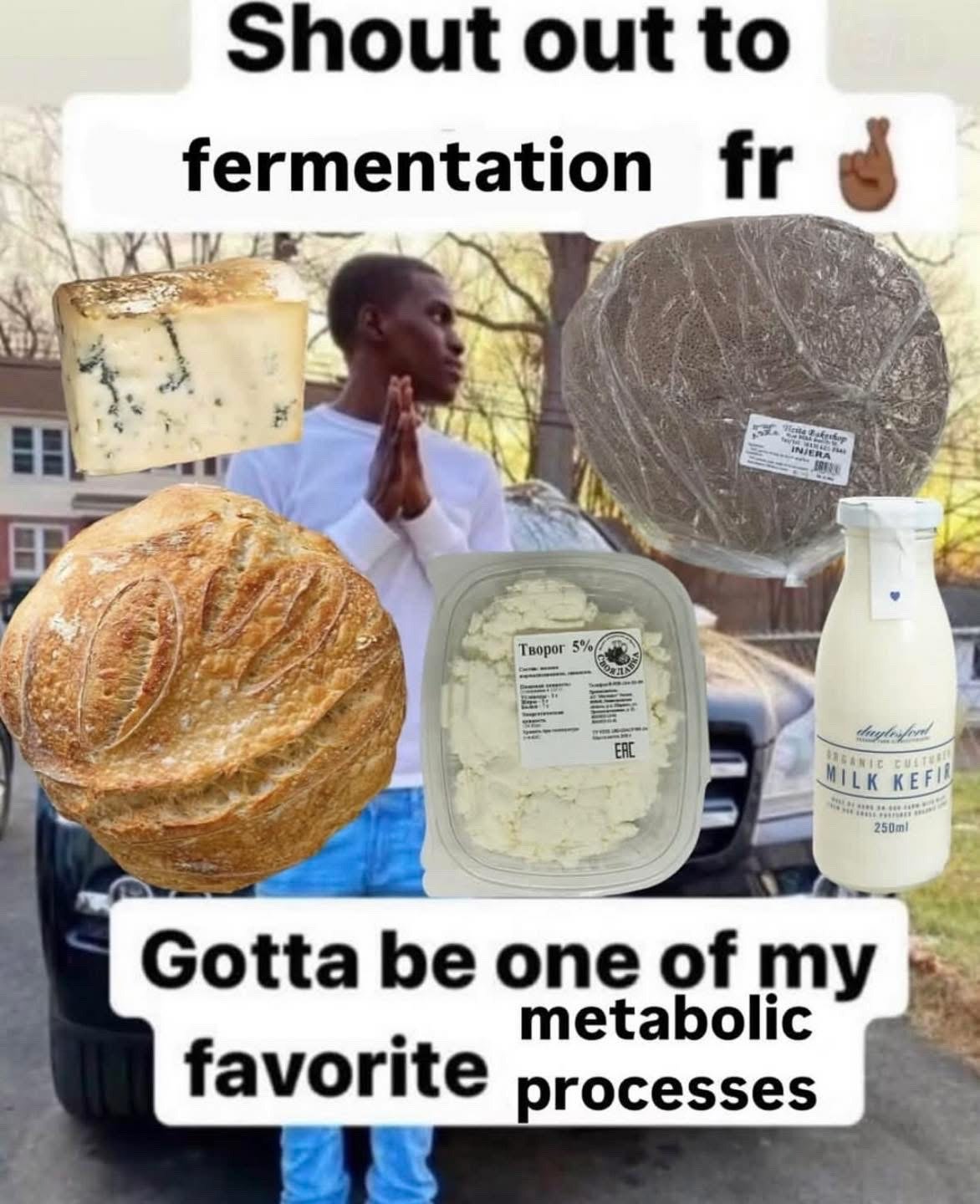 This is a humorous reaction meme featuring a viral image of a young Black man standing outdoors next to a car, holding his hands clasped together in a grateful, prayer-like pose. He is surrounded by edited cutouts of popular fermented food products: blue cheese, a loaf of sourdough bread, packaged Russian tvorog (quark curd), wrapped injera flatbread, and a bottle of organic milk kefir. Bold text overlays are placed at the top and bottom of the image: the top text reads 'Shout out to fermentation fr' next to a hand emoji pointing upward, while the bottom text reads 'Gotta be one of my favorite metabolic processes'. The joke centers on lightheartedly celebrating the biological process of fermentation, which is responsible for creating a wide variety of beloved, culturally diverse food and drink items.