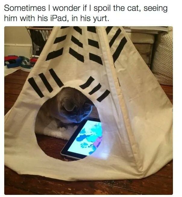This is a wholesome pet meme featuring a real domestic cat sitting inside a small custom teepee-style cat tent referred to as a yurt in the caption. The cat is intently focused on a brightly lit iPad placed in front of him inside the tent. The top text from the cat's owner questions whether they spoil their cat too much, given he has his own personal tent and personal tablet. The joke comes from the absurdly human-like luxury the cat enjoys, which is relatable to many pet owners who love spoiling their animals.
