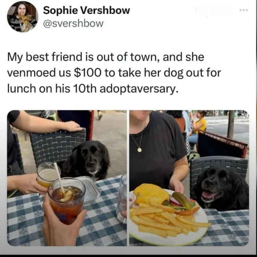 A screenshot of a tweet from Sophie Vershbow (@svershbow) featuring two photographs. The tweet text explains that her best friend, while out of town, sent $100 via Venmo to take the friend's dog for lunch to celebrate his 10th adoptversary. The left photograph shows a black dog sitting at an outdoor café table with a checkered tablecloth, accompanied by people holding drinks. The right photograph shows the same dog at the table, now with a plate containing a burger, fries, and pickles; the dog appears happy with its mouth open.