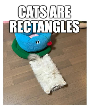 A wholesome meme featuring a white cat lying flat on a wooden floor, its body stretched out to form a rectangular shape. Above the cat, bold white text reads 'CATS ARE RECTANGLES,' humorously highlighting the cat's posture that resembles a rectangle. In the background, there is a blue and green pet bed with a red detail, possibly a small toy or decoration. The image is presented in a casual, home setting, emphasizing the cat's relaxed and playful nature.