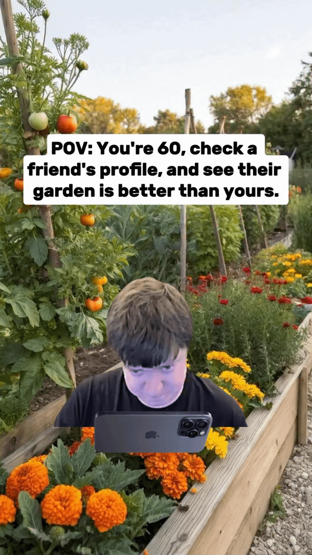A meme image featuring a person with a blurred face positioned in a vibrant garden bed filled with various plants, including tomato plants with red and green fruits, and colorful flowers (yellow, red, orange). The person is holding a dark-colored smartphone (with an Apple logo visible) in front of their chest. At the top of the image, a bold white text box with black text reads: 'POV: You're 60, check a friend's profile, and see their garden is better than yours.' The scene humorously depicts the relatable feeling of mild jealousy when comparing oneself to others, here framed through the lens of an older individual reacting to a friend's superior garden on social media.