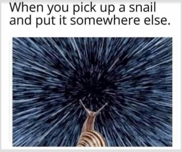This meme features a line of text at the top reading 'When you pick up a snail and put it somewhere else.' Below the text, there is an image of a snail positioned in front of a classic sci-fi hyperspace/warp speed visual effect, where streaks of light radiate outwards to convey extremely fast movement. The humor comes from personifying the snail: from the perspective of a very slow-moving snail, being picked up and moved by a human feels like a disorienting, instantaneous faster-than-light time-space jump, exaggerating the massive difference in movement speed between humans and snails for comedic effect.