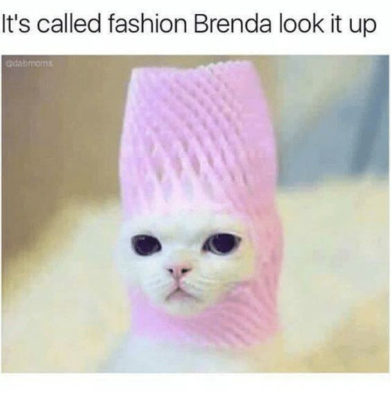 This is a humorous single-panel meme featuring an edited photograph of a white domestic cat. The cat has been edited to have an extremely tall, rectangular textured pink hairstyle that towers above its head. The text at the top of the image reads 'It's called fashion Brenda look it up', which is a sarcastic, sassy retort defending the ridiculous over-the-top hairstyle as legitimate high fashion, implying that the named character Brenda is old-fashioned or out of touch and does not understand modern fashion trends. The joke relies on the absurd contrast between the silly edited hairstyle and the confident claim that it is fashionable.
