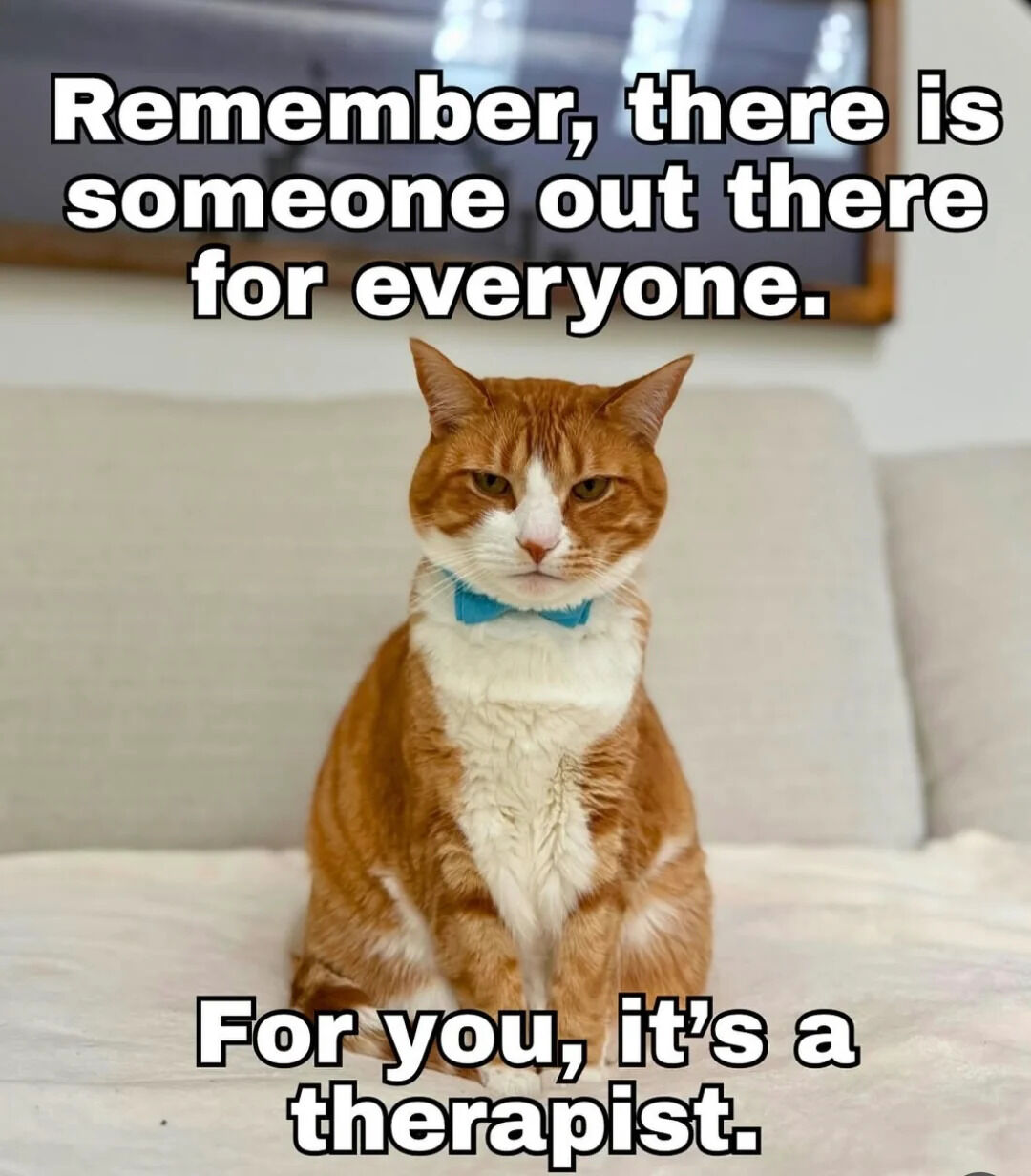 A meme featuring an orange and white cat with a blue bowtie sitting on a light gray couch. The cat has a serious, unamused expression with slightly narrowed eyes, giving it a stern demeanor. Above the cat, bold white text with a black outline reads, 'Remember, there is someone out there for everyone.' Below the cat, additional bold text continues, 'For you, it's a therapist.' The background includes a blurred picture frame on the wall behind the couch, creating a casual indoor setting. The humor arises from the contrast between the initially uplifting message and the sarcastic twist, using the cat's serious expression to emphasize the joke about needing a therapist.