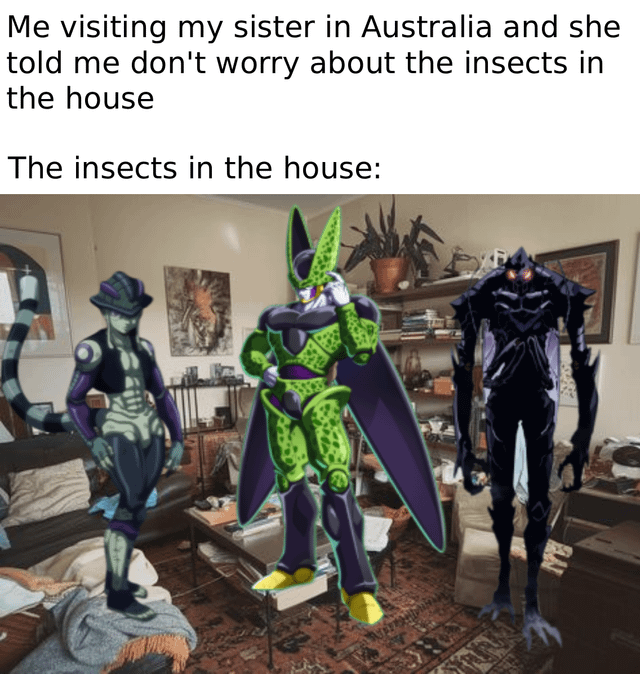 This is a comedy meme that plays on the widely circulated internet stereotype that insects found in Australian homes are unusually large and threatening. The top of the meme has text explaining the setup: the poster is visiting their sister in Australia, who told them not to worry about insects in the house. The following text introduces the punchline image: a photo of an ordinary, cluttered living room that has been edited to include three very large, powerful humanoid insect-like anime villains standing around the room, implying that the insects in the house are so huge and dangerous they resemble these iconic overpowered fictional characters. The humor comes from the extreme exaggeration of the Australian insect stereotype using recognizable anime characters.