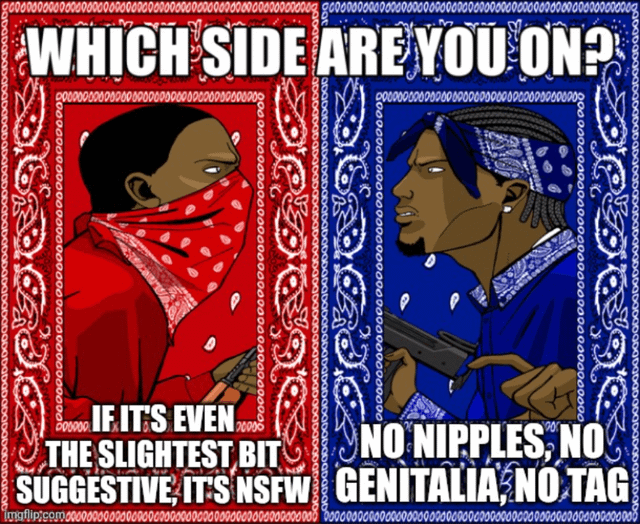 This is a split-panel meme using the popular 'Bloods vs Crips rivalry' format. The left panel has a red paisley bandana background, featuring a drawn Black man in red clothing with a red face covering holding a gun, with text below reading 'IF IT'S EVEN THE SLIGHTEST BIT SUGGESTIVE, IT'S NSFW'. The right panel has a blue paisley bandana background, featuring a drawn Black man in blue clothing with a blue head bandana holding a gun, with text below reading 'NO NIPPLES, NO GENITALIA, NO TAG'. The shared top text across both panels reads 'WHICH SIDE ARE YOU ON?'. The meme satirizes the two extreme, opposing common attitudes toward tagging online content as Not Safe For Work (NSFW).