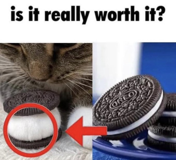 This meme is split into two side-by-side sections paired with text at the top reading 'is it really worth it?'. The left section features a tabby cat, with two Oreo cookie halves placed on either side of its fluffy white paw pad to create the optical illusion that the cat's paw is the cream filling of a whole Oreo cookie. A red circle highlights this fake Oreo, with a red arrow pointing to the right section, which displays real Oreo cookies on a blue plate. The joke revolves around the implication that anyone attempting to eat the fake Oreo will be scratched by the cat, prompting the audience to question if the snack is worth the potential injury.