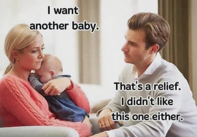 A meme depicting a domestic scene with three characters: a woman in a pink sweater holding a baby, and a man in a gray sweater sitting beside her. Text overlays show the woman stating, 'I want another baby,' followed by the man's darkly humorous response: 'That's a relief. I didn't like this one either.' The image uses a stock family photograph edited with sarcastic dialogue to create a shocking, comedic twist on parenting and relationship tropes.