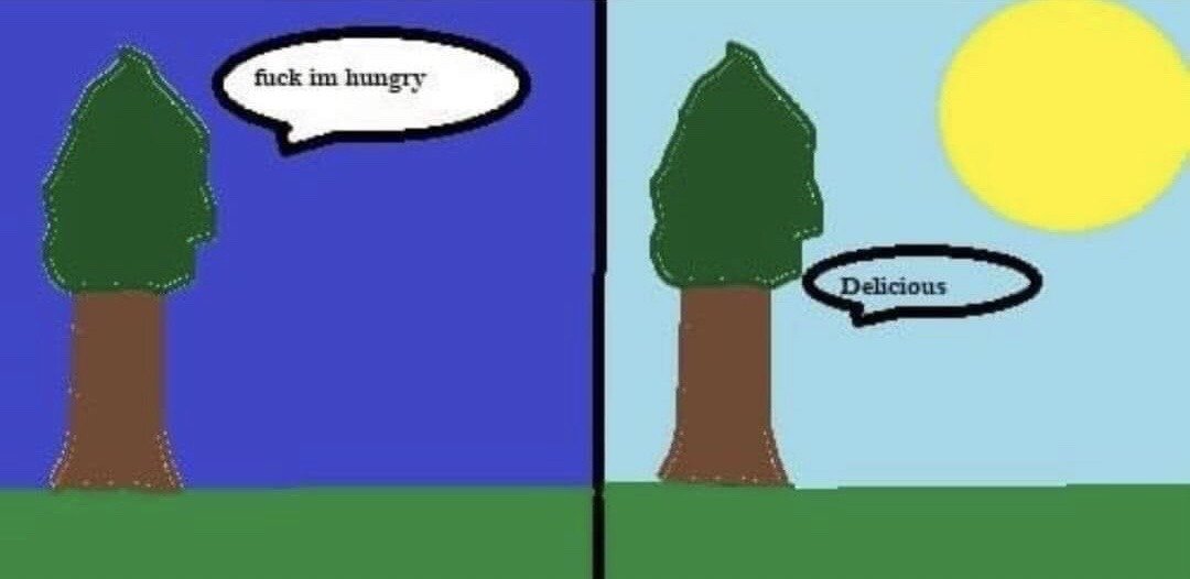 This is a two-panel crudely drawn humor meme. The first panel shows a simple cartoon tree standing on green grass against a dark blue night sky, with a speech bubble reading "fuck im hungry". The second panel shows the same tree standing against a light blue daytime sky next to a large bright yellow sun, with a speech bubble reading "Delicious". The joke relies on absurdist logic, implying the tree satisfied its hunger by eating the sun, paired with the casual vulgarity of the opening line contrasting with the calm satisfied follow-up.