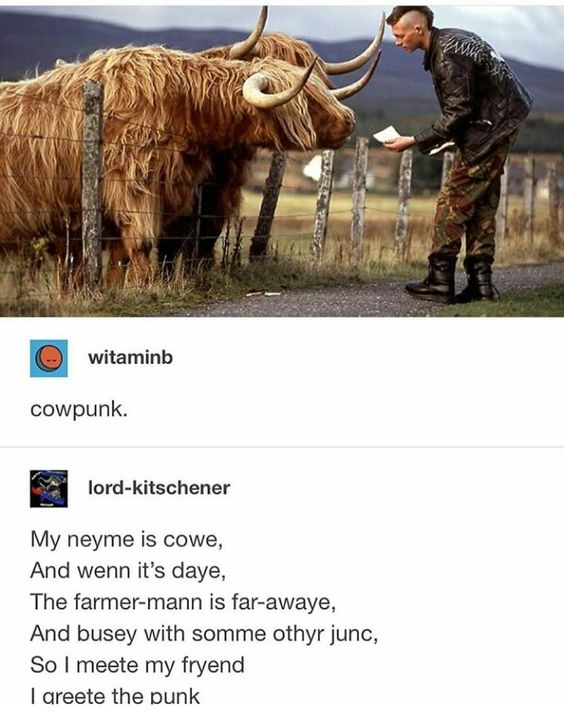 The image features a punk-style individual (wearing a leather jacket, camouflage pants, and boots) standing by a fence, interacting with two shaggy Highland cows that are leaning towards them, seemingly curious about a piece of paper the person is holding. The background shows a rural landscape with hills and a grassy field. Below the image are two comments from X.com users: 'witamimb' comments 'cowpunk.' (a portmanteau of 'cow' and 'punk'), and 'lord-kitschener' adds a playful, intentionally misspelled poem from the cow's perspective: 'My neyme is cowe, And wenn it's daye, The farmer-mann is far-awaye, And busy with somme othyr junc, So I meete my fryend I areete the punk' (translating to: 'My name is cow, And when it's day, The farmer man is far away, And busy with some other junk, So I meet my friend I greet the punk'). The overall tone is wholesome and humorous, blending rural and punk aesthetics.