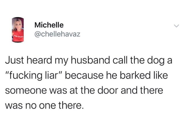 This image is a screenshot of a tweet from X (Twitter) user Michelle (@chellehavaz) sharing a funny personal story. She writes that she overheard her husband call their dog a profane insult meaning liar, because the dog barked to alert that someone was at the front door, but when checked there was no visitor present. The humor stems from the husband applying human social expectations of honesty to a dog, whose false barking is a normal pet behavior, making the scenario absurd and relatable to many pet owners.