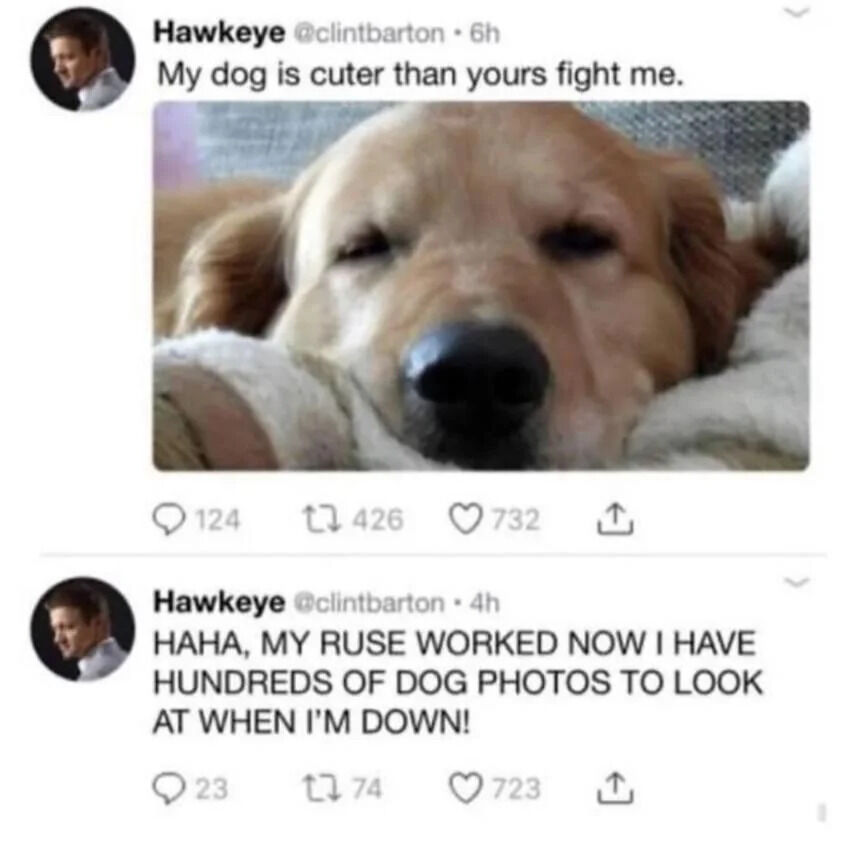 A screenshot of two consecutive tweets from the X.com account 'Hawkeye @clintbarton'. The first tweet, posted 6 hours prior, includes a close-up photo of a golden retriever dog lying relaxed on a soft surface with its eyes partially closed, captioned 'My dog is cuter than yours fight me.' It shows engagement metrics: 124 comments, 426 retweets, and 732 likes. The second tweet, posted 4 hours prior, reads 'HAHA, MY RUSE WORKED NOW I HAVE HUNDREDS OF DOG PHOTOS TO LOOK AT WHEN I'M DOWN!' with 23 comments, 74 retweets, and 723 likes. The humor stems from the playful 'ruse' where the initial挑衅 encourages others to share their dog photos, allowing the user to collect and enjoy them later.