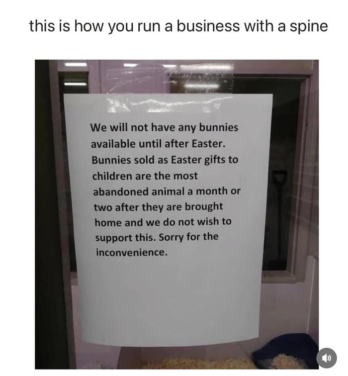 This viral image features a header text above a photo of a printed public sign at a pet-related business. The header text reads 'this is how you run a business with a spine'. The posted sign announces that the business will not make any bunnies available for purchase/adoption until after Easter, explaining that bunnies sold as impulse Easter gifts for children are the most commonly abandoned pets just 1 to 2 months after being brought home, and the business refuses to support this irresponsible practice. The whole post praises the business for taking a firm ethical stand against animal abandonment.