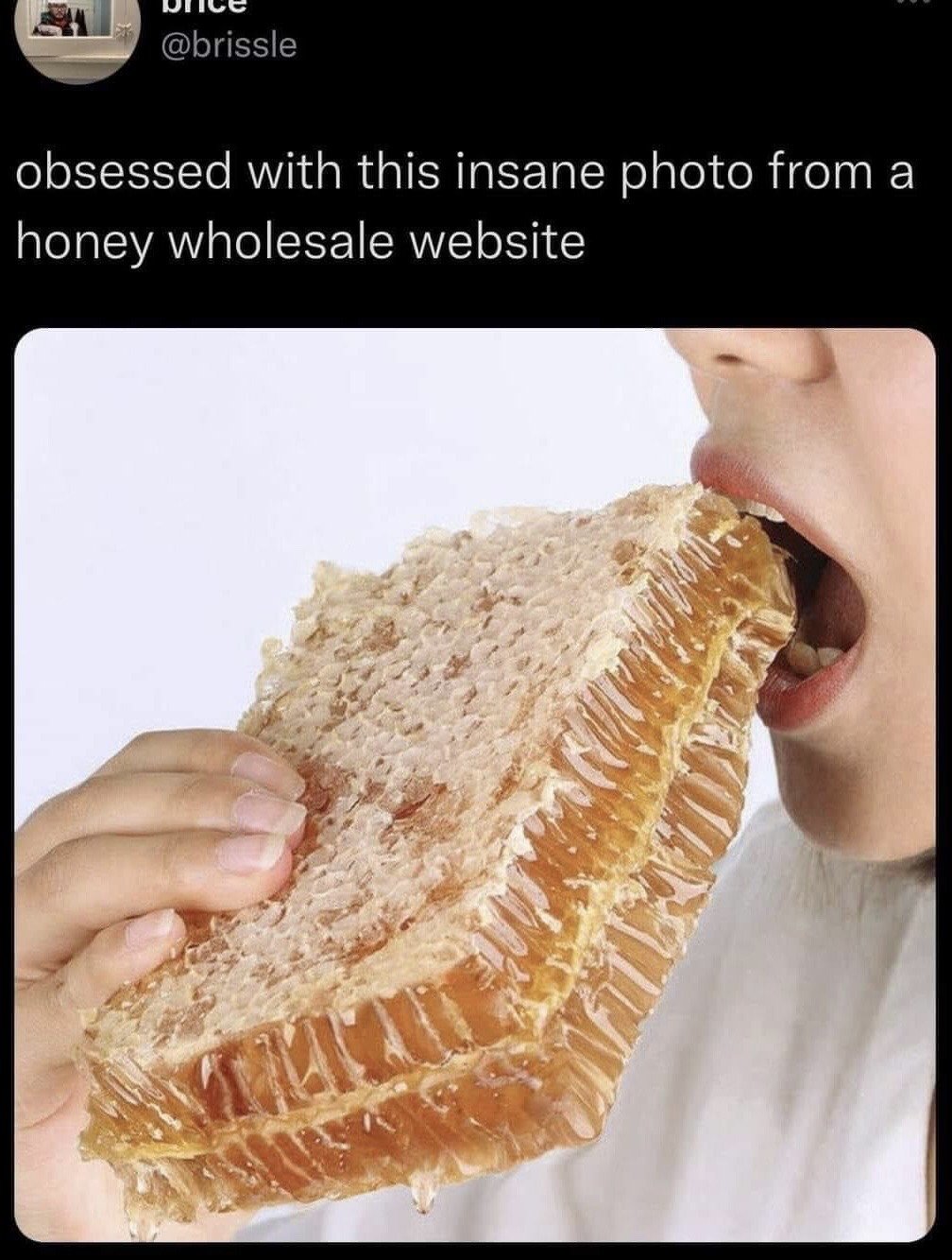 This is a screenshot of an X (formerly Twitter) post by user @brissle. The post text states the user is obsessed with this absurd photo sourced from a honey wholesale website. The attached image shows the lower half of a person's face, as they hold an extremely large, thick, multi-layered slab of raw honeycomb and take an oversized bite out of it. The humor comes from the absurdity of presenting eating a giant, messy bulk honeycomb directly as if it is a standard, portable snack, rather than a wholesale ingredient meant to be processed or portioned.