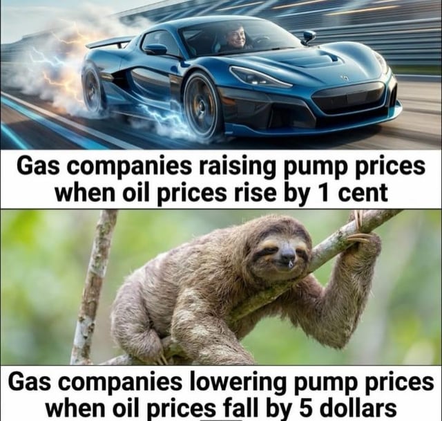 This two-panel comparison meme humorously criticizes the asymmetric price adjustment behavior common among gas companies. The top panel features an extremely fast blue sports car speeding on a race track with lightning and smoke effects coming from its wheels, paired with text stating that gas companies immediately raise pump prices as soon as oil prices increase by just 1 cent. The bottom panel features a lethargic sloth moving at a glacial pace while clinging to a tree branch, paired with text stating that gas companies take an extremely long time to lower pump prices even when oil prices drop by as much as 5 dollars. The meme highlights the widespread consumer frustration with gas companies prioritizing profits by passing cost increases onto customers immediately while delaying passing on cost decreases for as long as possible.