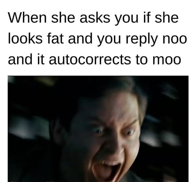 This is a relatable comedy meme made up of a top text caption and a reaction image below. The top text describes a highly awkward common autocorrect mishap: when a romantic partner asks if she looks fat, you attempt to reply 'noo' to reassure her, but autocorrect mistakenly changes the word to 'moo', the sound a cow makes, which implicitly insults her by comparing her to an overweight cow. The image below is a widely used reaction shot of Tobey Maguire as Peter Parker from Spider-Man 3 (colloquially known as the Bully Maguire meme) screaming in wild rage and panic, which perfectly embodies the extreme horror and panic someone would experience in this relationship-endangering accident.