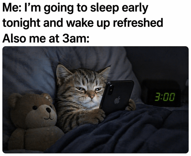This is a relatable lifestyle meme. The top section has text stating the poster's intention to sleep early to wake up feeling rested, followed by the punchline lead-in 'Also me at 3am:'. The bottom section features an edited photo of a tabby cat lying in bed under dark blue blankets, next to a small brown teddy bear. The cat is holding an iPhone in its paws, staring at the screen with half-lidded, tired eyes. A digital alarm clock on the nightstand in the background shows the time is 3:00am, illustrating that the poster failed to follow their plan of sleeping early and is instead scrolling on their phone late at night.