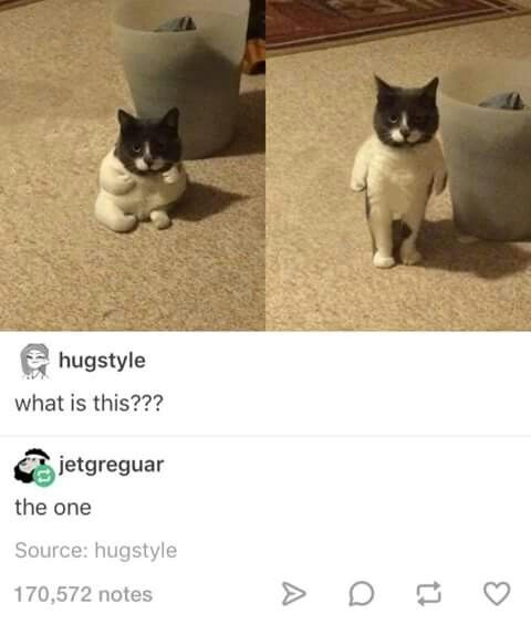 This meme features a two-panel collage of a black-and-white cat. The left panel shows the cat sitting normally on a carpet next to a small trash can, with a confused expression. The right panel is an edited version where the cat's lower body is replaced with human-like legs, making it appear to stand upright like a human. Below the images is a Tumblr post screenshot: user `hugstyle` asks "what is this???", and user `jetgreguar` replies "the one" — a reference to Neo from *The Matrix* franchise, who is known as "The One". The humor comes from the absurd, surreal edit of the cat paired with the iconic movie reference, creating a silly, unexpected joke.
