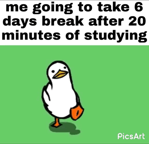 This meme consists of two sections: the top section has bold black text on a white background that reads 'me going to take 6 days break after 20 minutes of studying'. Below the text, a simple cartoon white duck with a yellow beak and orange webbed feet walks smugly against a solid light green background. The joke exaggerates the extremely disproportionate amount of rest people often give themselves after completing a very short period of studying or light work, poking fun at common procrastination and low study stamina, especially among student populations.