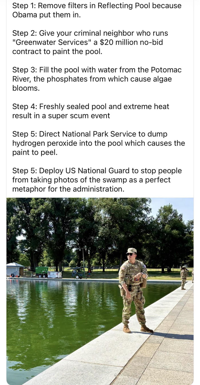 This meme satirizes the botched maintenance of the US National Mall Reflecting Pool, which became overgrown with bright green algae and resembled a swamp. It lists a sarcastic step-by-step sequence of poor administrative decisions that led to the state of the pool, ending with the deployment of the US National Guard to prevent people from photographing the failed pool, framed as a metaphor for the US administration's failure to deliver on the political promise to "drain the swamp" (eliminate government corruption and inefficiency). The bottom of the meme features a real photograph of a uniformed National Guard soldier standing on the edge of the visibly murky, green Reflecting Pool, with another guard visible in the background.
