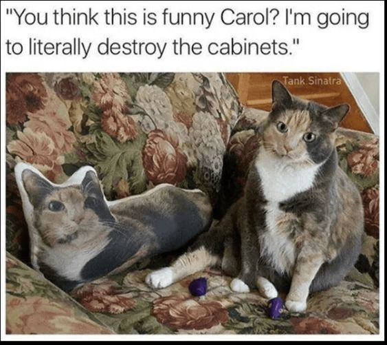 The image depicts a real calico cat sitting on a floral-patterned couch. To the cat's left is a rectangular pillow featuring a printed image of a cat's face, closely resembling the real cat. The cat has a calm, slightly unimpressed expression, with its body relaxed and front paws resting on the couch. Two small purple cat toys are positioned near the cat's paws. A humorous text overlay at the top reads: 'You think this is funny Carol? I'm going to literally destroy the cabinets.' The watermark 'Tank.Sinatra' is visible in the top right corner.