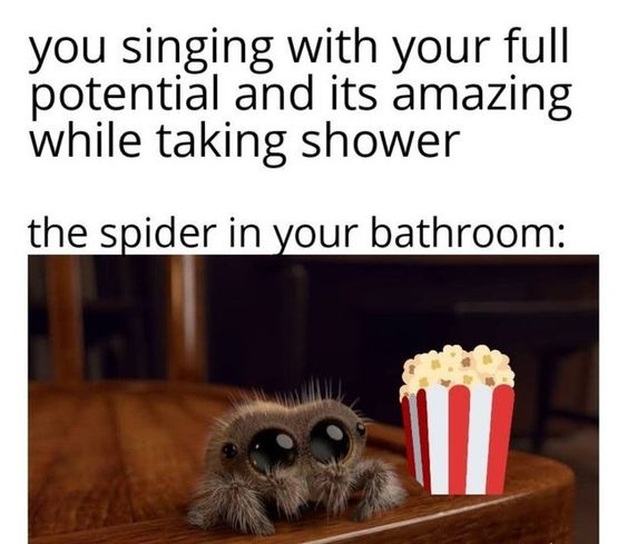 This is a wholesome relatable meme. The top text sets up a common relatable scenario: a person singing their absolute best while taking a shower, thinking no one is listening. The following text introduces the punchline from the perspective of the unnoticed spider living in the bathroom, paired with an image of an adorable fluffy jumping spider with large cute eyes peeking over a wooden edge next to a cartoon striped popcorn bucket, implying the spider is happily enjoying the free performance as an entertained audience member. The joke leans into the common experience of people singing privately in the shower, and the amusing idea that small household creatures are inadvertently watching and enjoying their private performances.