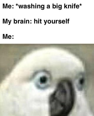 This is a relatable meme about the common human experience of random unwanted intrusive thoughts. The top text sets up the scenario: the author is washing a large kitchen knife, when their brain suddenly generates the intrusive impulse telling them to 'hit yourself' with the knife. The bottom half of the meme shows a blurry close-up photograph of a white parrot with extremely wide, startled eyes, conveying the shocked, nervous reaction the author has to this sudden unsettling thought. The meme jokes about the universal experience of random bad thoughts that pop into your head out of nowhere when holding something dangerous.