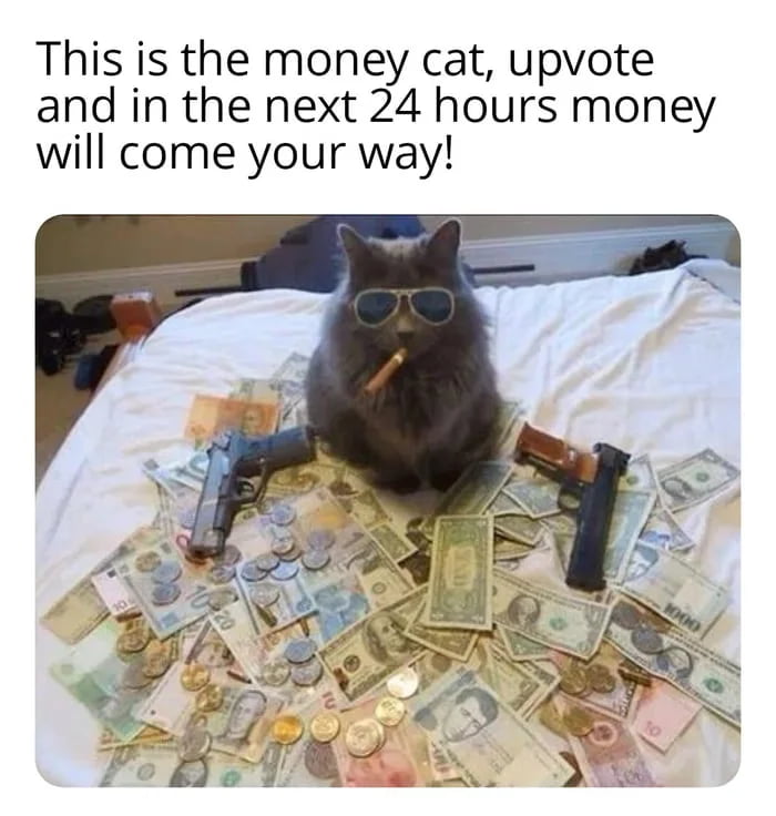 The meme consists of text at the top followed by a photograph. The top text reads 'This is the money cat, upvote and in the next 24 hours money will come your way!'. The photograph shows a fluffy grey cat sitting on a white bed sheet, surrounded by a large pile of assorted currency including US dollar bills, coins, and other international banknotes. The cat wears silver aviator sunglasses, has a cigar held in its mouth, and two handguns are placed on the pile of cash to either side of the cat. The meme uses the intimidating, wealthy 'gangster cat' visual as good luck bait, encouraging users to upvote the post to receive financial good fortune.