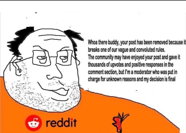 This is a single-panel cartoon meme depicting a crudely drawn, smug male caricature wearing an orange shirt printed with the Reddit logo, representing an unaccountable Reddit site moderator. Text placed to the right of the character is spoken by the caricature, satirizing the common user experience of having a popular, highly upvoted post with positive community feedback arbitrarily removed by moderators for unclear, poorly defined rule violations with no appeal process. The joke is rooted in widespread user frustration with the lack of oversight and accountability for social media platform moderators.