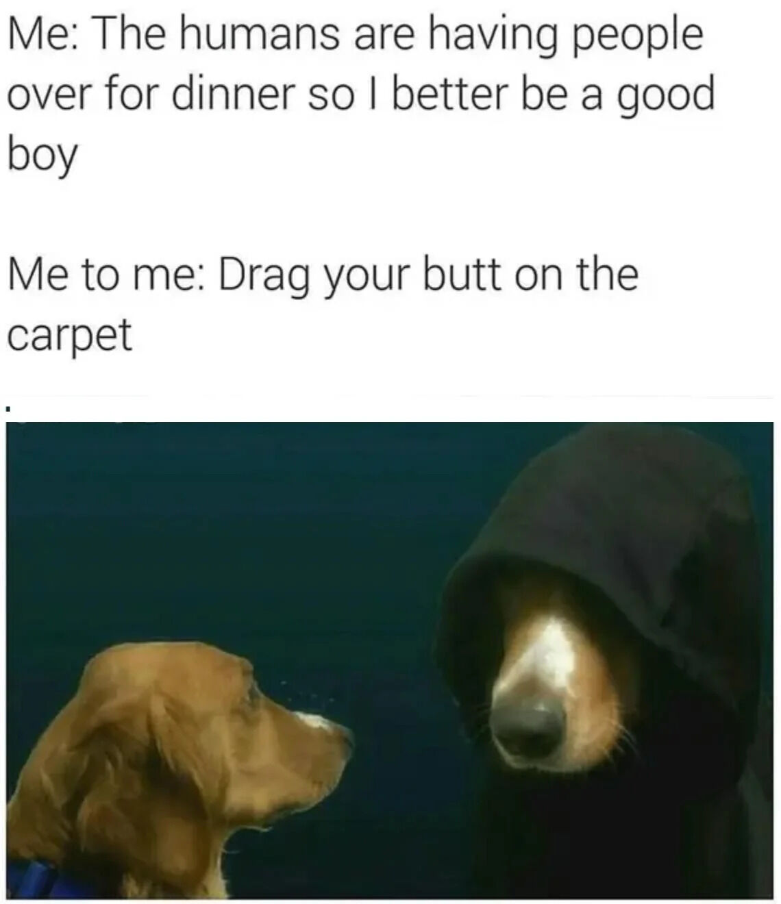 This is a single-panel relatable dog meme split into text on top and an image on the bottom. The text is framed from the perspective of a household dog: the outer thought says the dog knows it needs to behave well when its owners have dinner guests over, but the inner impulse tells the dog to do a classic messy bad behavior: drag its butt across the carpet. The image below shows a normal golden retriever (the good, well-behaved side) facing off with another golden retriever wearing a black hood up like a sneaky villain, representing the bad inner impulse.