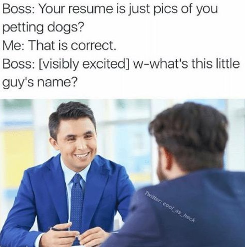 This is a wholesome, humorous meme depicting a job interview scenario. The text above the stock interview photo lays out a dialogue: the boss/interviewer first questions if the candidate's resume consists solely of photos of the candidate petting dogs, the candidate confirms this is true. Instead of reacting negatively as expected, the boss becomes visibly excited and eagerly asks for the name of the dog shown in the resume photos. The image below the text shows the smiling, excited interviewer in a blue suit sitting across from the candidate, whose back is to the camera, matching the dialogue's description of the boss's excited reaction.