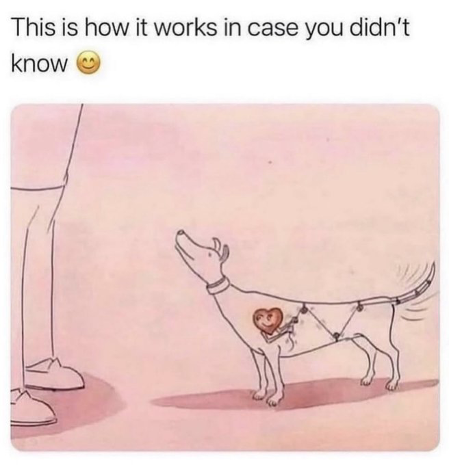 The meme features a top text that reads 'This is how it works in case you didn't know 😊' above a soft pink-toned line illustration. The illustration shows a dog standing and looking up adoringly at a partially visible person (only their legs and shoes are shown on the left). A small, smiling anthropomorphic heart inside the dog's chest is shown pulling a system of strings attached to the dog's tail, which is actively wagging. The joke is a silly, wholesome literal visual metaphor for how a dog's happiness and affection for its owner is what causes its tail to wag when they see each other.