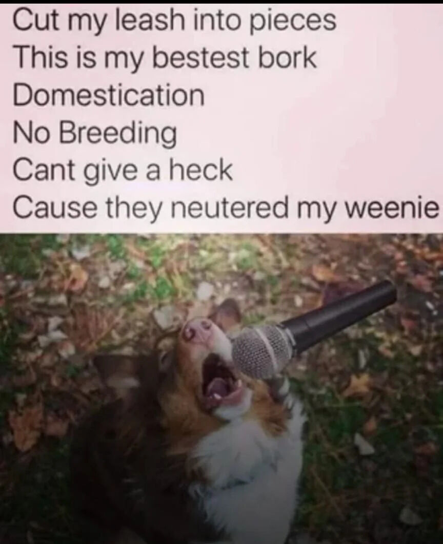 The meme features two distinct sections: a top text panel with black text on a light pink background and a bottom image panel. The text reads: 'Cut my leash into pieces / This is my bestest bork / Domestication / No Breeding / Cant give a heck / Cause they neutered my weenie'—a humorous, dog-themed parody of a dramatic song. The bottom image shows a corgi lying on the ground amidst autumn leaves, holding a black microphone with its paws, mouth wide open as if passionately singing the text above. The corgi's expressive posture and the absurdity of the lyrics create a comedic effect, mocking the 'tragedy' of domestication and neutering from a dog's perspective.