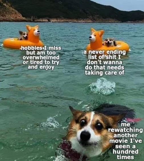 This relatable meme features three corgis in open water. Two corgis rest comfortably in orange dog-shaped inflatable floaties: the first float is labeled as hobbies the creator misses but is too overwhelmed or exhausted to engage with, the second is labeled as an endless list of unwanted chores that require completion. The third corgi is swimming directly toward the camera with wide, blank, glazed-over eyes, labeled as the creator choosing to rewatch a movie they have already seen hundreds of times instead of addressing either hobbies or chores. The joke plays on the common experience of burnout, where people opt for low-effort, familiar comfort activities instead of tackling more demanding tasks or neglected hobbies when tired.