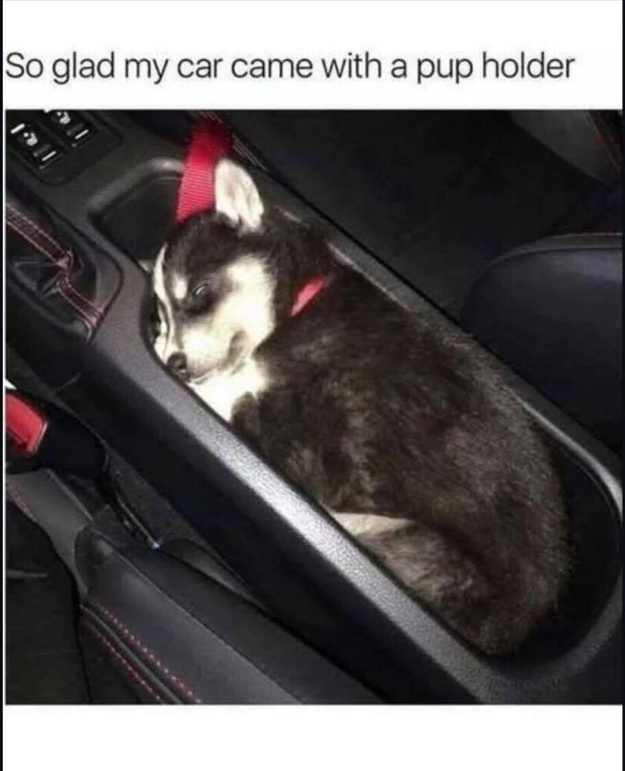 A humorous image featuring a small husky puppy lying comfortably in the center console of a car, secured with a red strap. The puppy appears relaxed and sleepy, curled up snugly in the console space. Above the image, there is a playful caption: 'So glad my car came with a pup holder,' which is a pun on the term 'cup holder'—a common car feature—repurposed here to humorously refer to the console as a 'pup holder' for the puppy. The scene is endearing and lighthearted, highlighting the puppy's cozy position and the owner's playful perspective on their car's 'extra feature.'