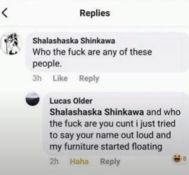 This meme is a screenshot of a social media reply thread. The first comment from user *Shalashaska Shinkawa* asks aggressively, "Who the fuck are any of these people." User *Lucas Older* replies with a sarcastic, funny clapback, mocking Shalashaska's unusual, hard-to-pronounce username by claiming that saying it aloud caused a supernatural event: "my furniture started floating". The reply has a laughing emoji with 8 reactions below it, emphasizing the joke's humor.