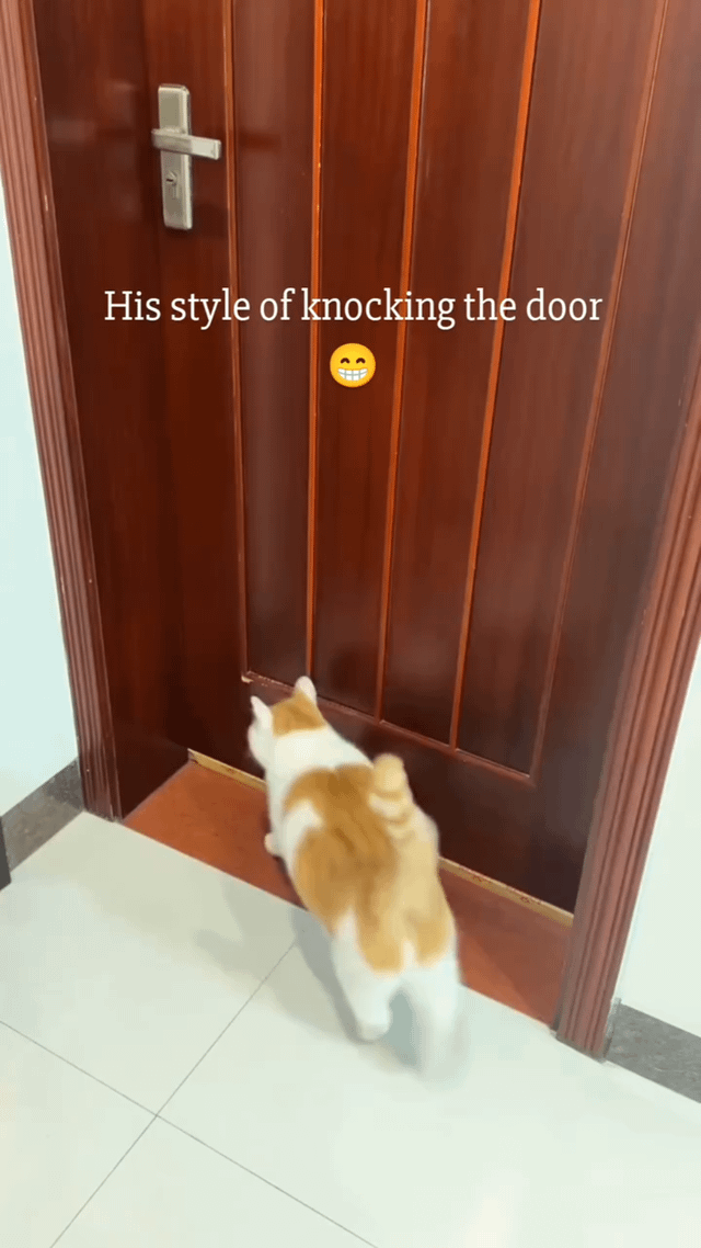 A photograph of a white and orange cat standing on a light-colored tiled floor, facing a closed wooden door with vertical panels and a silver handle. The cat is positioned at the bottom corner of the door, appearing to knock or push against it with its head or paw. Above the cat, there is a white text overlay that reads 'His style of knocking the door' accompanied by a small yellow smiley face emoji with a wide, grinning mouth. The surrounding area features light-colored walls and a tiled floor, creating a casual indoor setting.