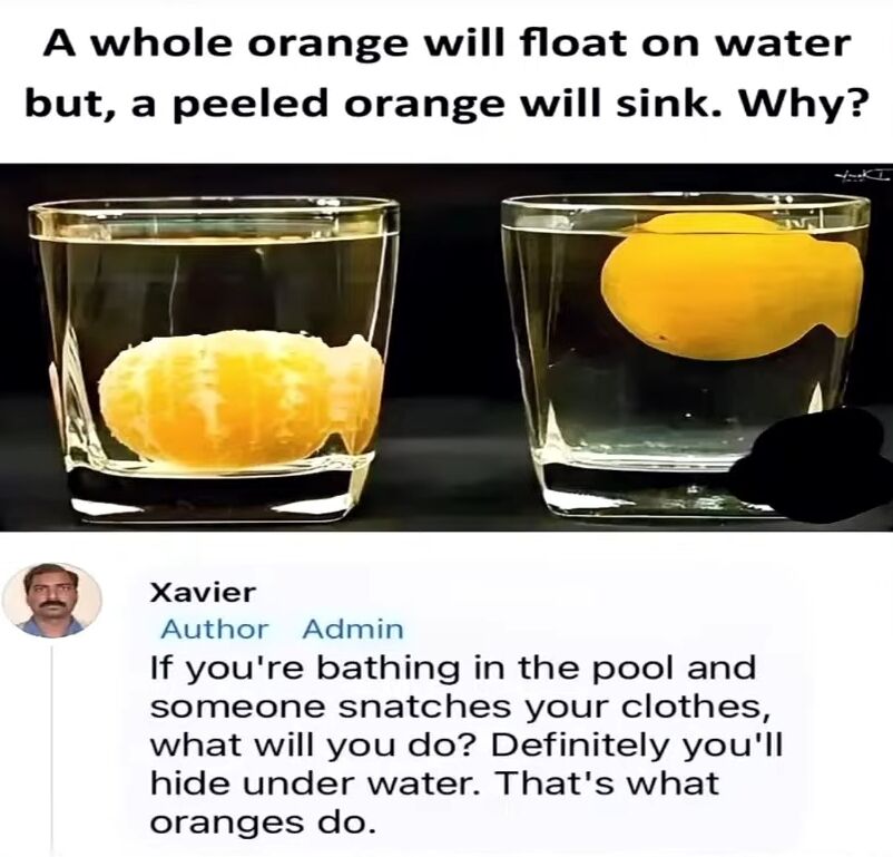 The meme displays two clear glasses of water side by side. The left glass contains a peeled orange that is sinking, while the right glass holds a whole orange that is floating. Above the images, bold text poses the question: 'A whole orange will float on water but, a peeled orange will sink. Why?' Below the images, there is a screenshot of a comment from a user named Xavier (with a profile picture), which humorously explains the phenomenon using an analogy: 'If you're bathing in the pool and someone snatches your clothes, what will you do? Definitely you'll hide under water. That's what oranges do.'