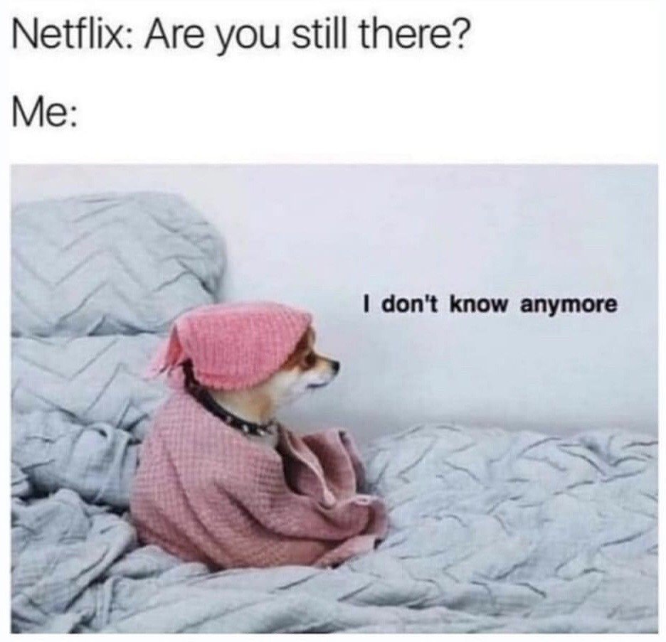 This relatable meme uses a two-part setup: the top text first presents the common pop-up prompt from Netflix that appears after extended periods of watching to check if the user is still active, reading 'Netflix: Are you still there?' followed by 'Me:'. Below this text is an image of a small dog wrapped in a pink knitted blanket with part of the blanket over its head, sitting slouched on a messy gray bed looking blankly zoned out, with text next to the dog reading 'I don't know anymore'. The humor comes from exaggerating the experience of being so burnt out, dissociated, or absorbed in binge watching content that the user is not even sure they are present or exist anymore in response to the routine Netflix check.