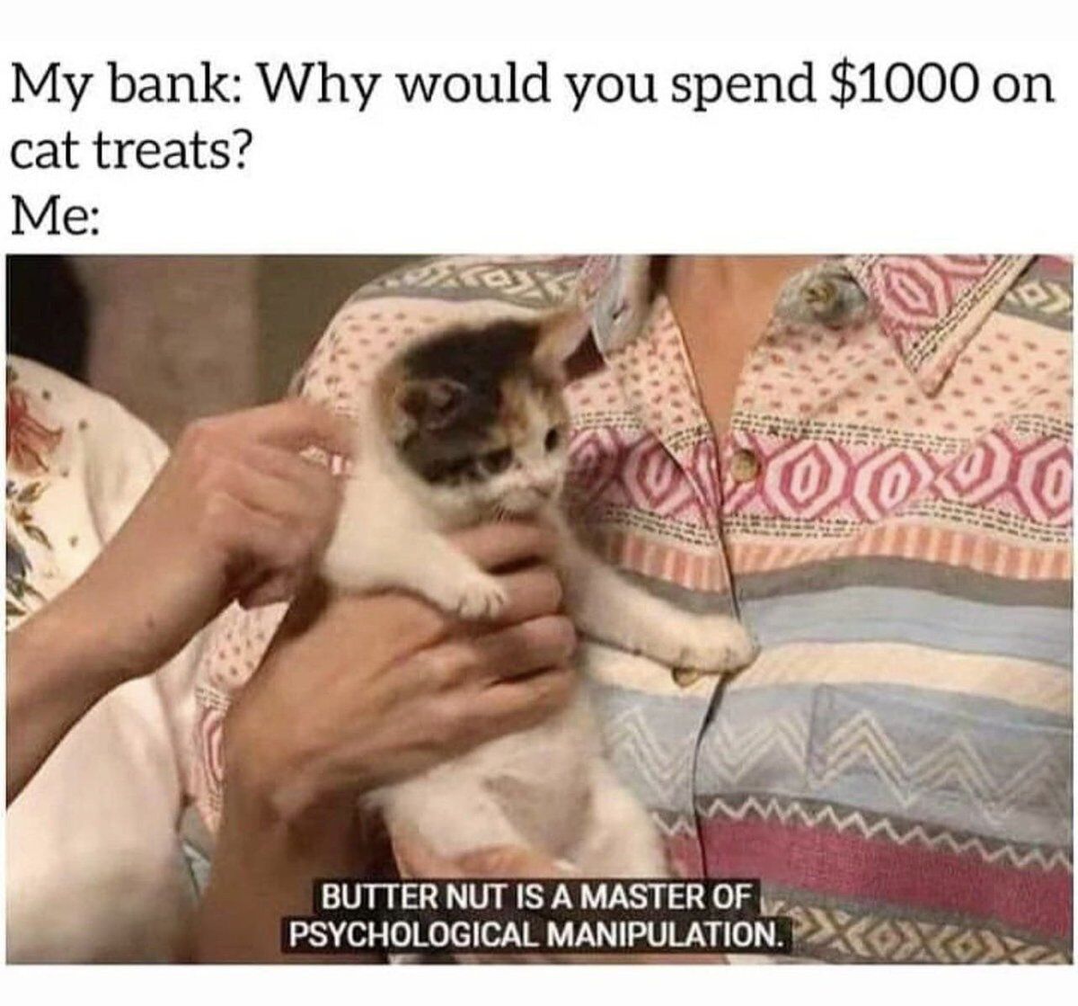 This is a relatable funny image macro meme about cat owners being manipulated by their pets into overspending. The top text sets up a conversation: a person's bank questions why they spent $1000 on cat treats, and the meme's response uses an image of a two-faced kitten named Butter Nut, captioned 'Butter Nut is a master of psychological manipulation', joking that the kitten convinced the owner to spend the large amount of money on treats. The kitten is being held by a person whose face is not visible.