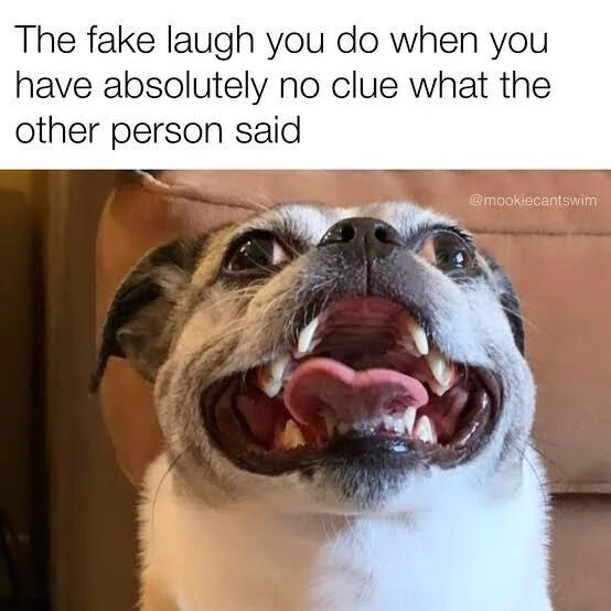A meme featuring a close-up photograph of a small dog (likely a pug mix) with its mouth wide open, displaying its teeth and tongue in an exaggerated grin that resembles a laugh. Above the dog, there is a caption that reads: 'The fake laugh you do when you have absolutely no clue what the other person said.' The dog's expression humorously mimics the awkward, forced laughter people use in social situations when they don't understand what someone is saying. A watermark '@mookiecantswim' is visible in the top right corner of the image.