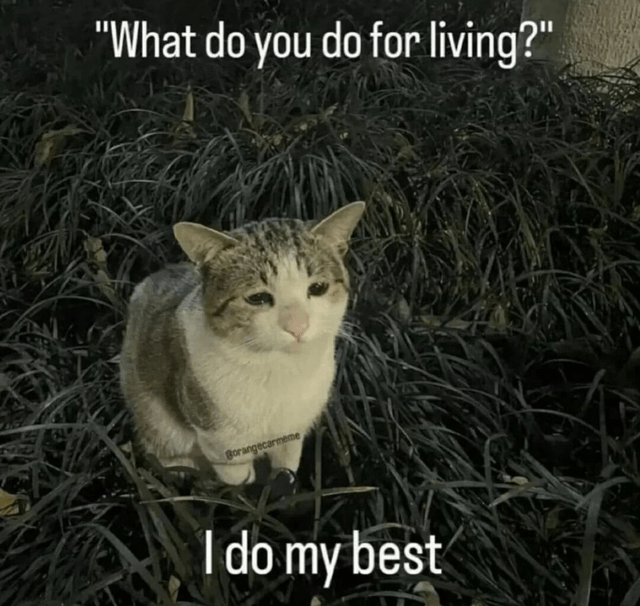A meme featuring a real cat with a tired, resigned expression sitting in dark grass. The top text reads 'What do you do for living?' (presumably from an off-screen speaker), and the bottom text, attributed to the cat, reads 'I do my best'. The cat's weary demeanor combined with the text creates a humorous yet sad tone, resonating with the universal experience of struggling to explain one's efforts or livelihood. A watermark 'garagecatmemes' is visible at the bottom of the image.
