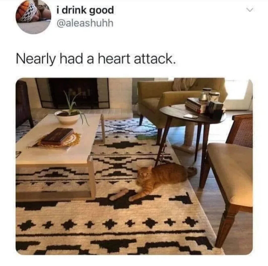 This is a screenshot of an X (Twitter) post showing a viral optical illusion. The original poster's text reads 'Nearly had a heart attack.' The photograph shows a living room with an orange tabby cat lying on a black-and-white geometric patterned area rug. The cat's coloring lines up perfectly with the rug's pattern to create a startling illusion: the cat's body blends in with the pattern, and the spacing makes it look like a pale human leg is sticking out from under the coffee table, which initially tricks viewers into thinking there is an unexpected person hiding, startling the poster.