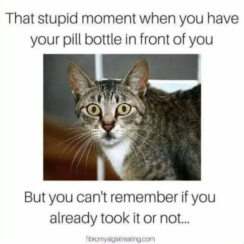 A meme featuring a central photograph of a tabby cat with wide, round eyes and a confused expression. Above the cat, the text reads: 'That stupid moment when you have your pill bottle in front of you'. Below the cat, the text continues: 'But you can't remember if you already took it or not...'. The cat's bewildered look humorously captures the frustration of forgetfulness, particularly regarding medication adherence. A watermark 'fibromyalgiatreating.com' is visible at the bottom, suggesting a possible health-related source.