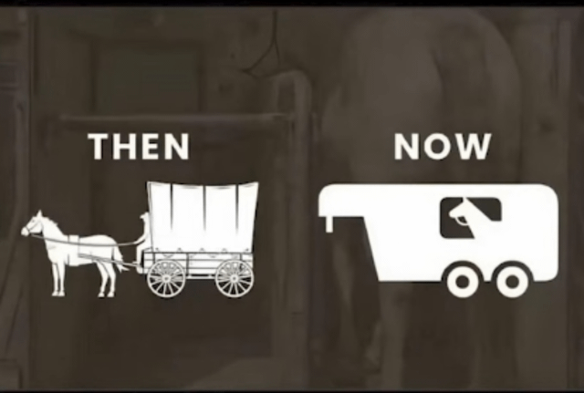 A two-panel meme with a dark background, split into 'THEN' (left) and 'NOW' (right). The left panel shows a white illustration of a horse pulling a traditional covered wagon, representing historical labor. The right panel shows a white illustration of a horse sitting inside a modern enclosed vehicle (resembling an RV or trailer), looking out through a window, representing a reversal where horses now ride as passengers instead of working. The humor lies in the role reversal, implying horses 'outsmarted' humans by transitioning from laborers to being transported.