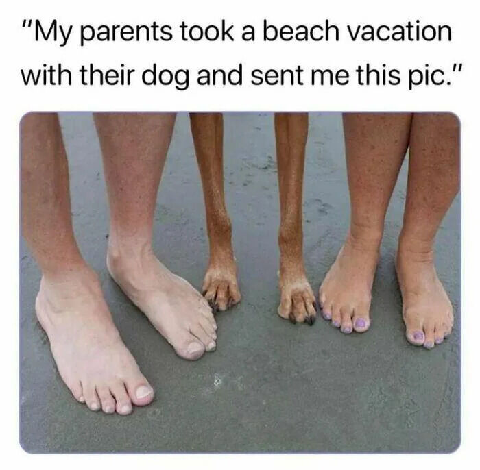 A wholesome meme consisting of a top caption and a photograph. The caption reads: 'My parents took a beach vacation with their dog and sent me this pic.' Below the caption is a photograph showing the lower legs and feet of two adults (presumably the parents) with a dog's front paws positioned between their feet, all standing on a sandy beach surface. The composition focuses on the juxtaposition of human feet and dog paws, creating a cute and heartwarming visual representation of a family (including a pet) enjoying a beach getaway.