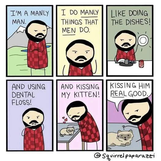 This is a 6-panel (3x2 grid) hand-drawn comic strip. A bearded man in a red checkered robe opens by claiming he is a manly man that does manly things. He begins to list soft, everyday activities that are stereotypically considered unmanly: doing the dishes, using dental floss, then kissing his kitten. The punchline subverts two expectations: first it challenges toxic masculinity stereotypes by framing these everyday soft activities as manly, and second, it leads the reader to assume 'kissing him' would refer to a romantic partner, revealing he is still talking about his kitten, who looks confused at the statement. The joke is lighthearted and wholesome.