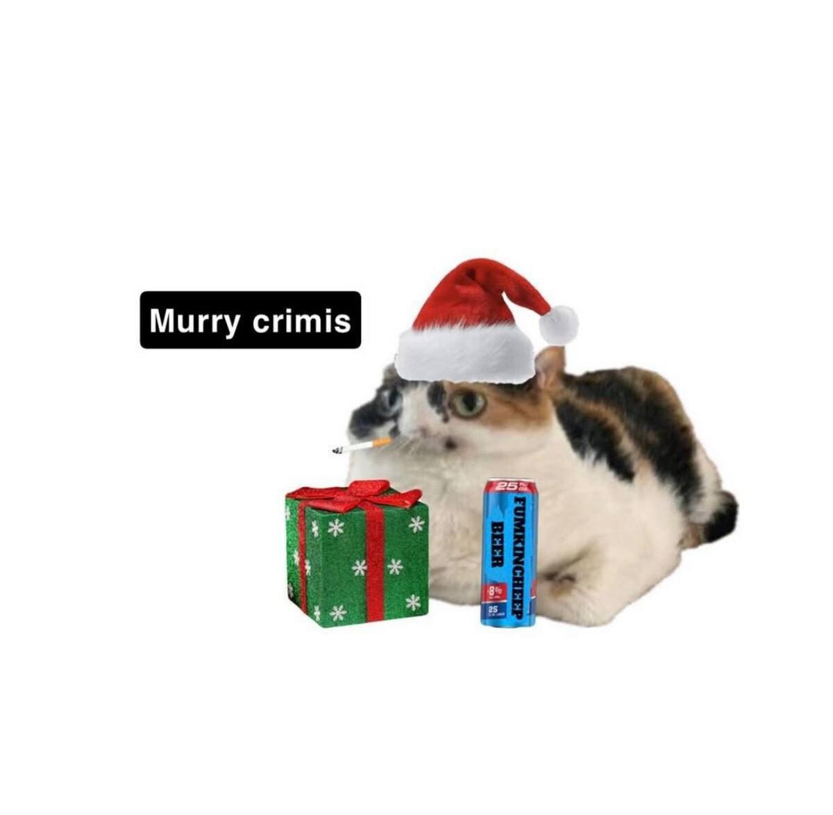 A humorous holiday meme featuring a real cat wearing a red and white Santa hat, lying down with a cigarette in its mouth. To the cat's left is a green gift box adorned with white snowflake patterns and a red bow. To the right of the cat is a blue can labeled 'Funkincheap Beer 8%'. On the left side of the image, a black rectangular text box contains the misspelled phrase 'Murry crimis' (a playful misspelling of 'Merry Christmas'). The cat has wide, alert eyes, contributing to the meme's sarcastic and funny tone.