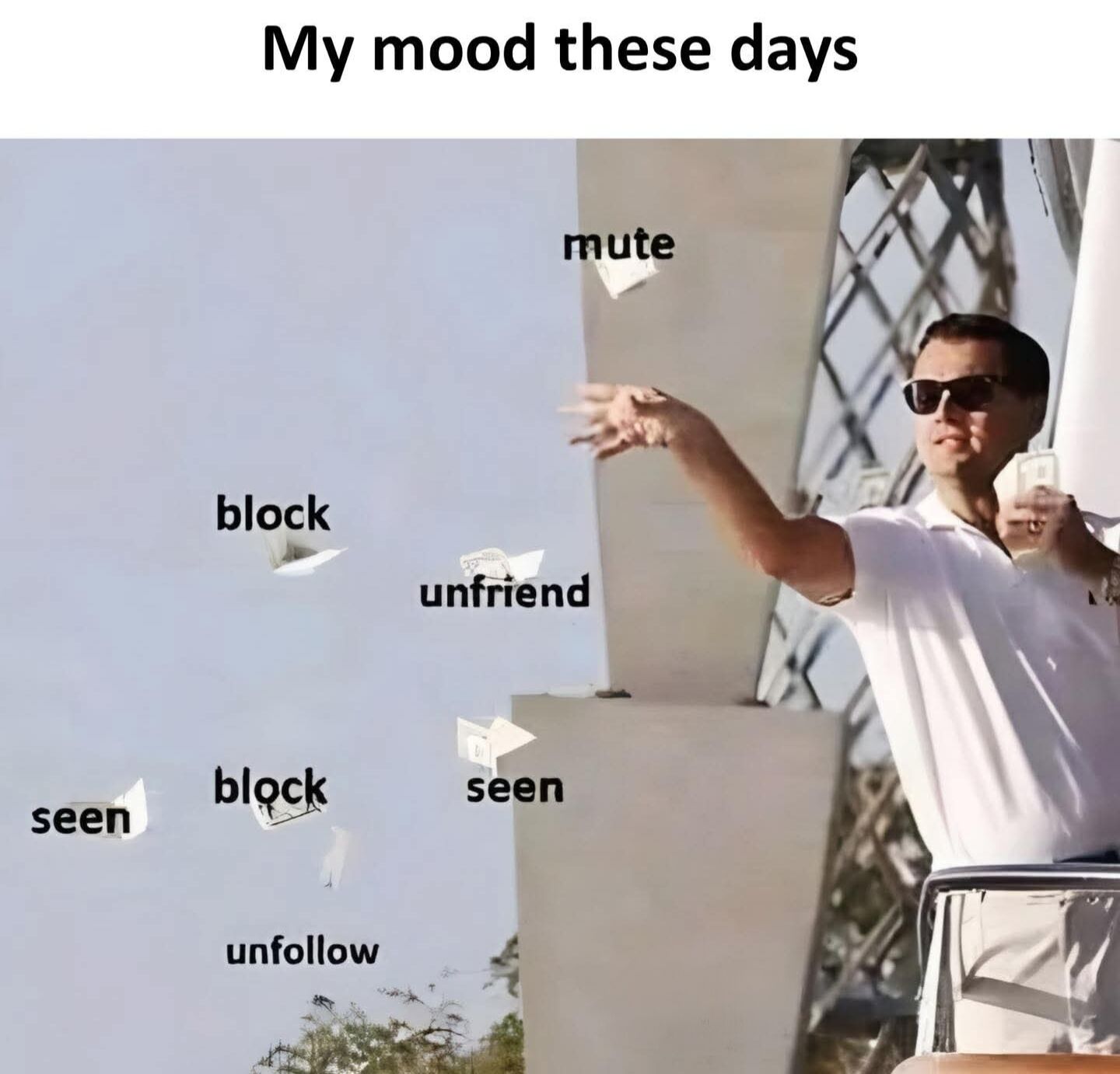 This is a relatable reaction meme using a still of Leonardo DiCaprio portraying Jordan Belfort from the 2013 film *The Wolf of Wall Street*. In the original scene, the character throws stacks of cash off the side of a yacht. In this edited version, the pieces of thrown cash are each labeled with common social media moderation or avoidance actions: 'mute', 'block', 'unfriend', 'seen', and 'unfollow'. The title text at the top of the meme reads 'My mood these days', conveying that the creator feels inclined to freely cut off, ignore, or remove annoying people from their online social circles as casually as the character throws away money in the scene.