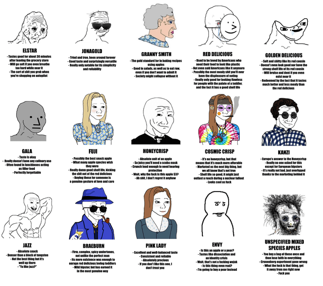This meme is a 3-row, 5-column comparison chart that pairs 15 common commercial apple cultivars (including Elstar, Jonagold, Granny Smith, Red Delicious, Golden Delicious, Gala, Fuji, Honeycrisp, Cosmic Crisp, Kanzi, Jazz, Braeburn, Pink Lady, Envy, and unspecified mixed species apples) with distinct Wojak-style cartoon characters that visually match the stereotypical personality associated with each apple type. Each entry includes a set of irreverent, casual bulleted points listing the creator's humorous, opinionated takes on the apple's taste, texture, shelf life, culinary uses, and general public perception, often using crude, relatable language to joke about widely held opinions on different apple varieties.
